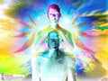 Reiki 1 degré